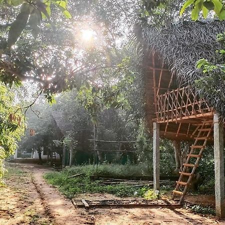 Art Forest Hotel ออโรวิลล์ ภายนอก รูปภาพ