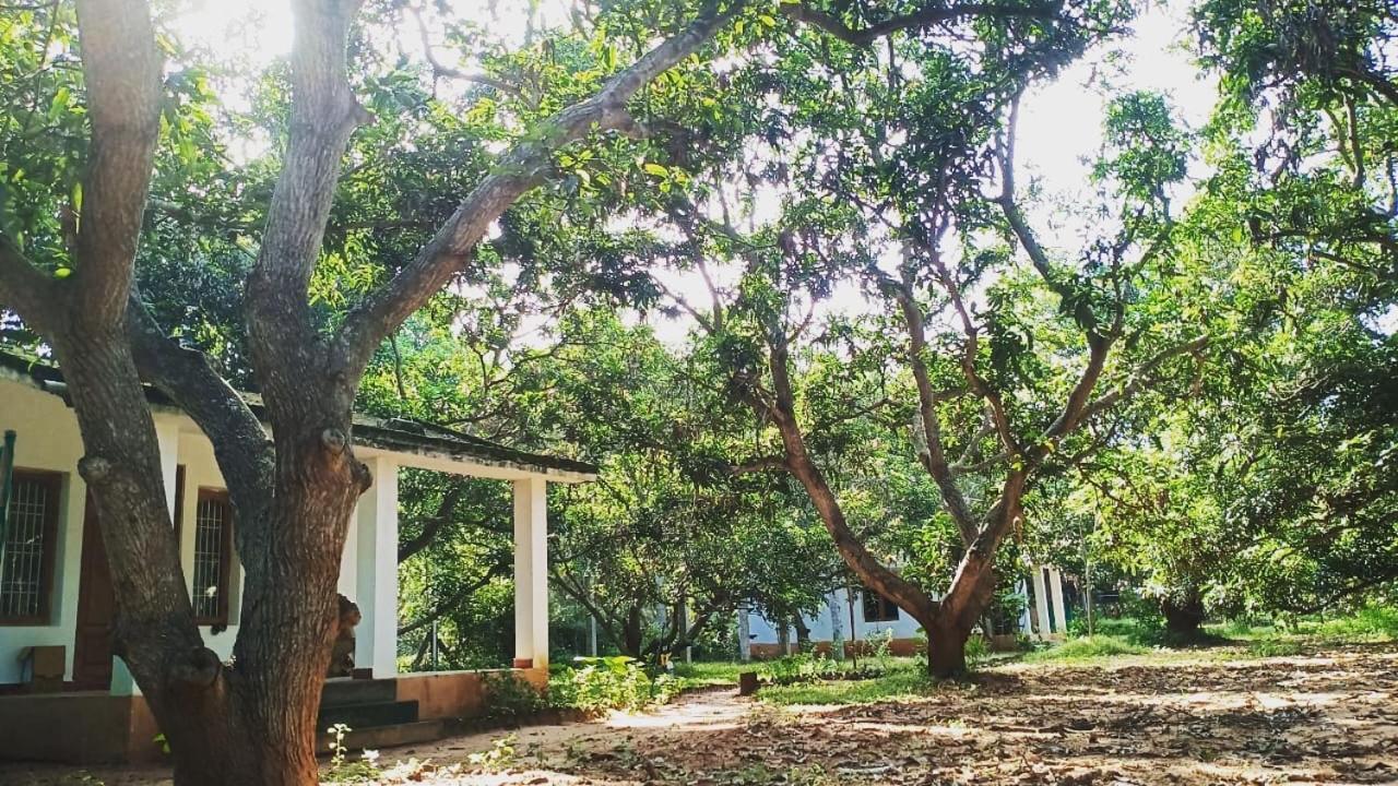 Art Forest Hotel ออโรวิลล์ ภายนอก รูปภาพ